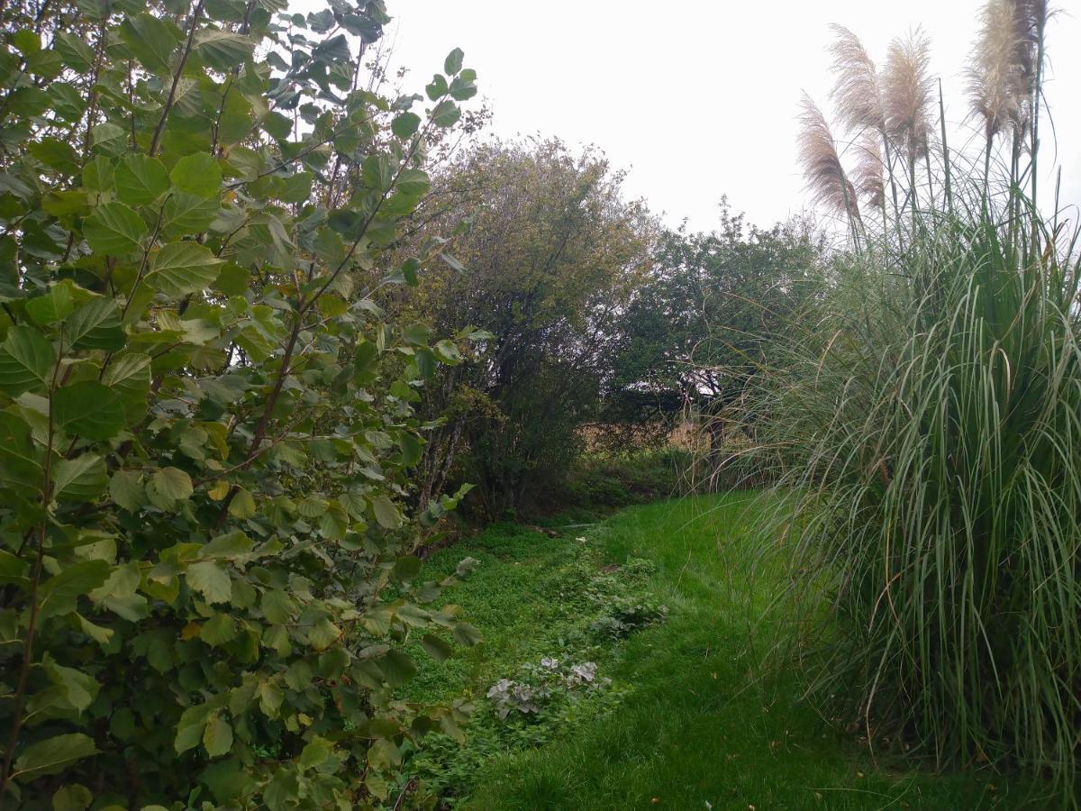 Gite De La Basse Roche Souge  Exterior photo